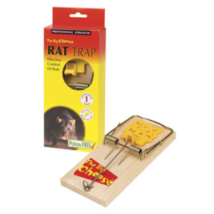 Big Cheese rat trap