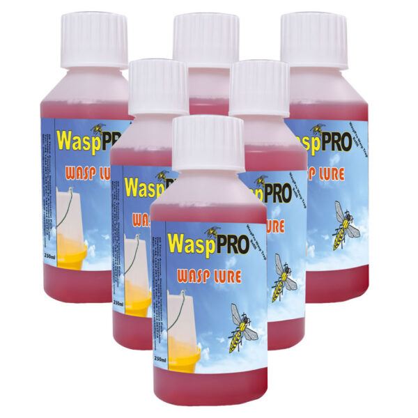 Wasp Pro wasp and fly lure liquid