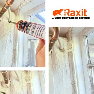 Rax Stop mice and rat proofing