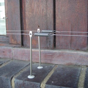 Pigeon Wire Spring in Situ
